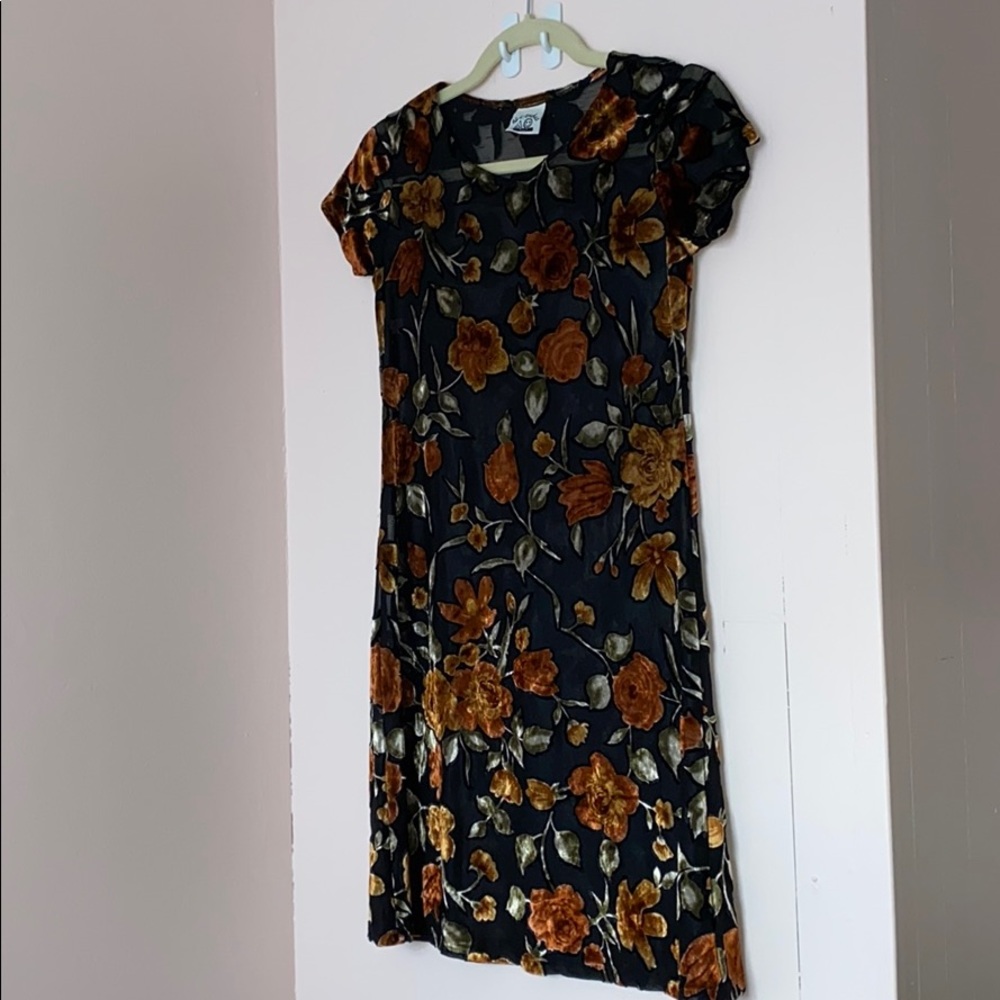 Sheer and velvet floral swing dress!